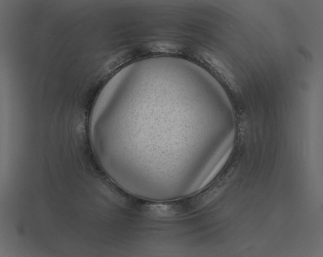 X0000116600265200912241719