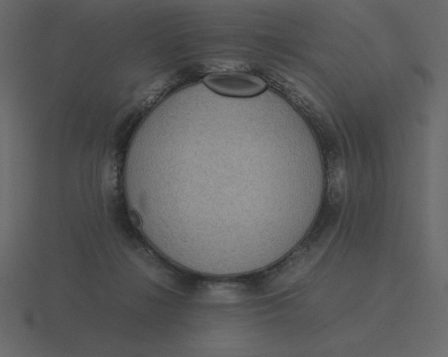 X0000116600268200912241719