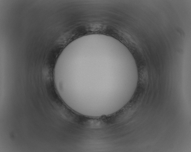 X0000116600272200912241720