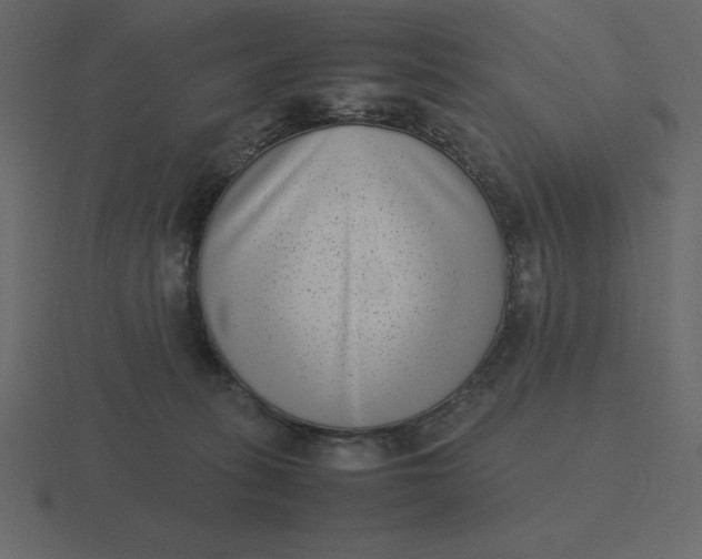 X0000116600275200912241720