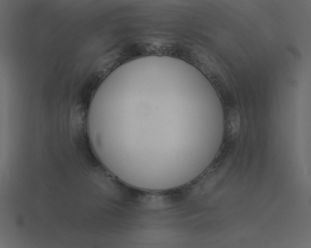 X0000116600276200912241720