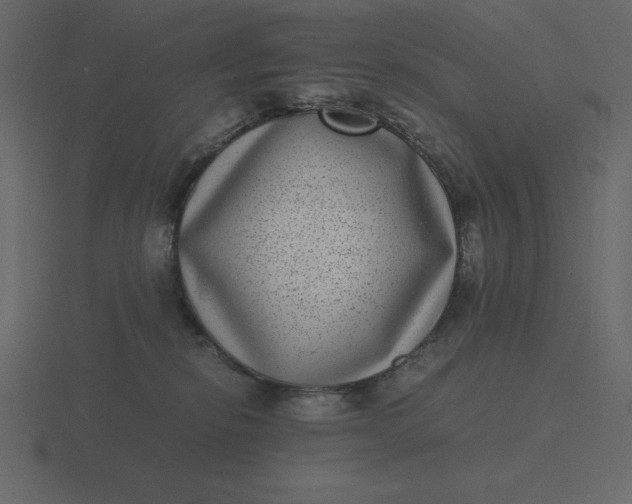 X0000116600278200912241720