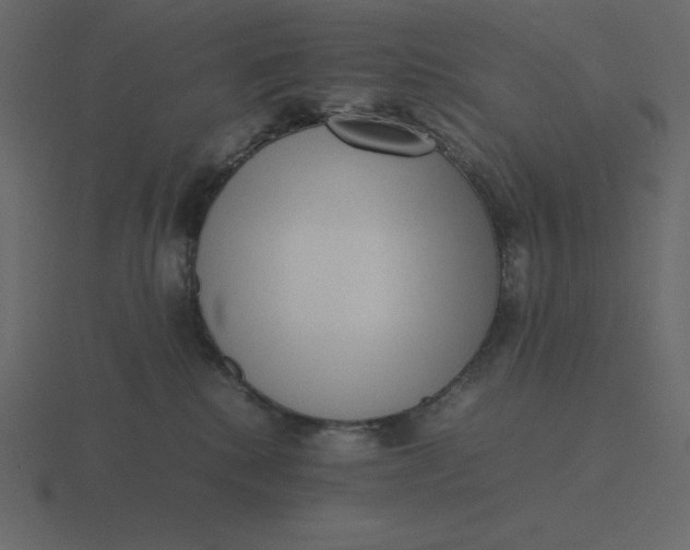X0000116600280200912241720
