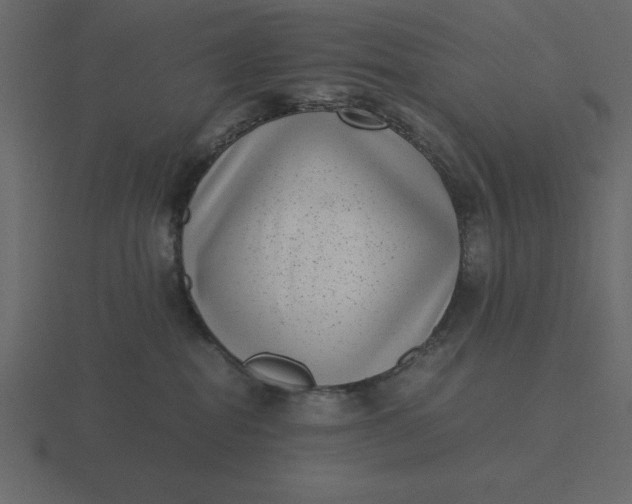 X0000116600282200912241720