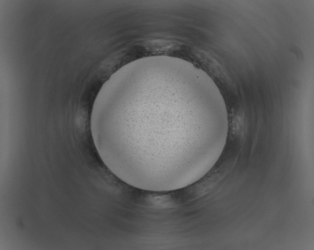 X0000116600283200912241720