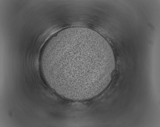X0000116600290200912241719