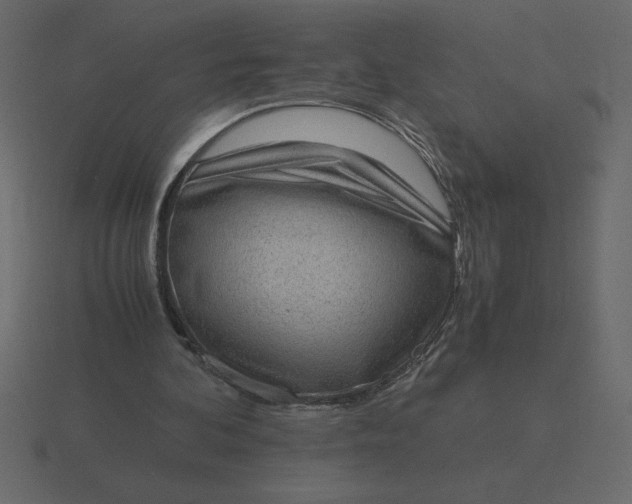 X0000116600292200912241719