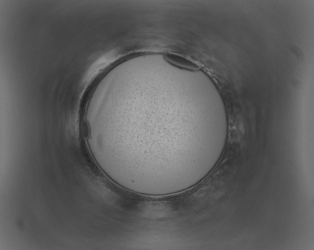 X0000116600296200912241719