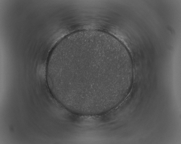 X0000116600297200912241719