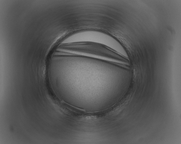 X0000116600304200912241719