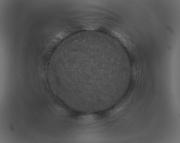 X0000116600307200912241719