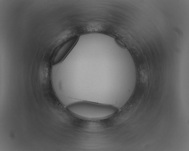 X0000116600308200912241719