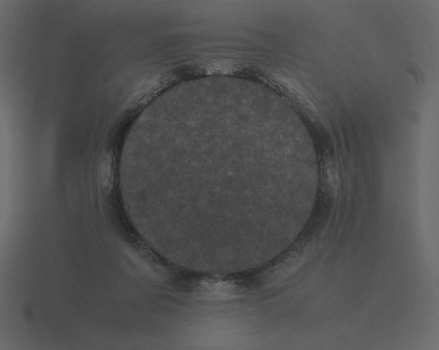X0000116600311200912241719