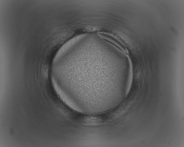 X0000116600315200912241719