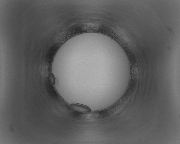 X0000116600323200912241719