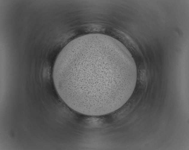 X0000116600326200912241719