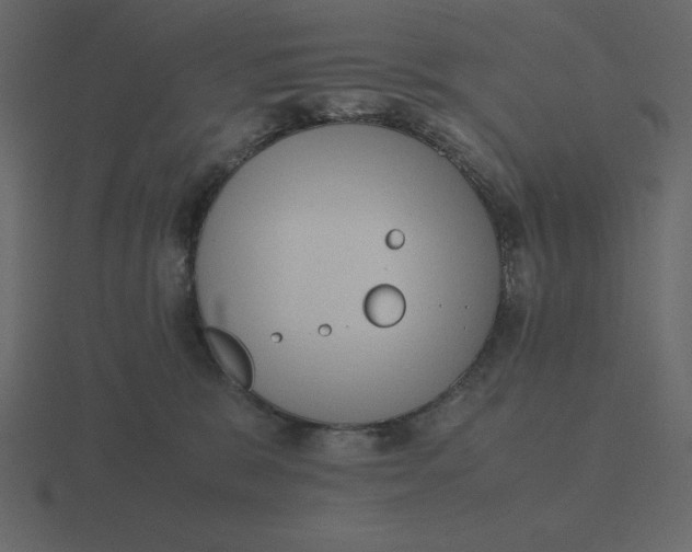 X0000116600327200912241719