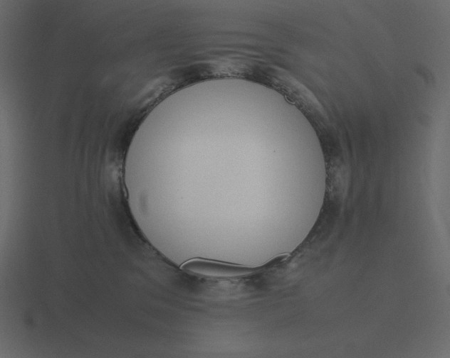 X0000116600329200912241719