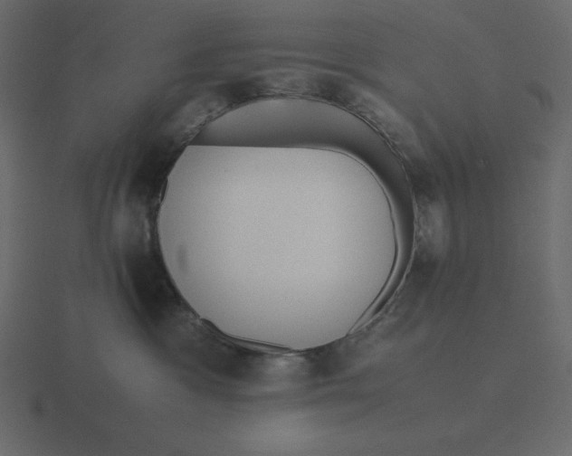 X0000116600333200912241719