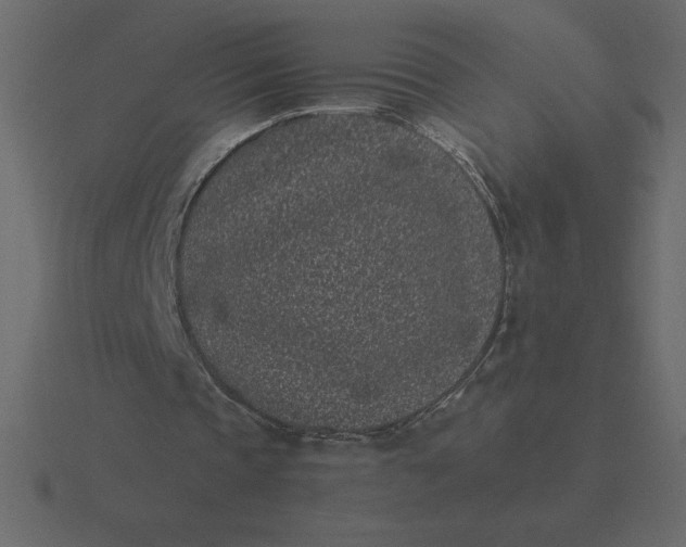 X0000116600337200912241718
