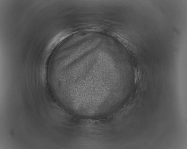 X0000116600339200912241718
