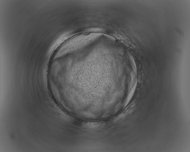 X0000116600341200912241718