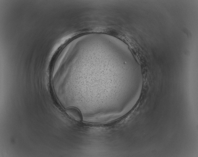 X0000116600342200912241718