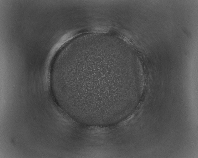 X0000116600343200912241718