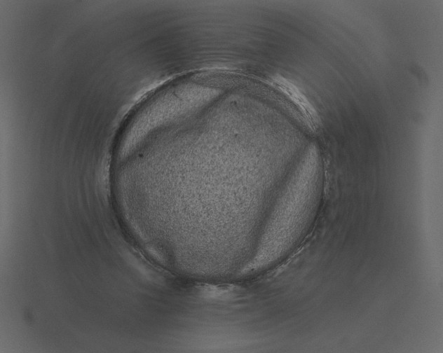 X0000116600346200912241718