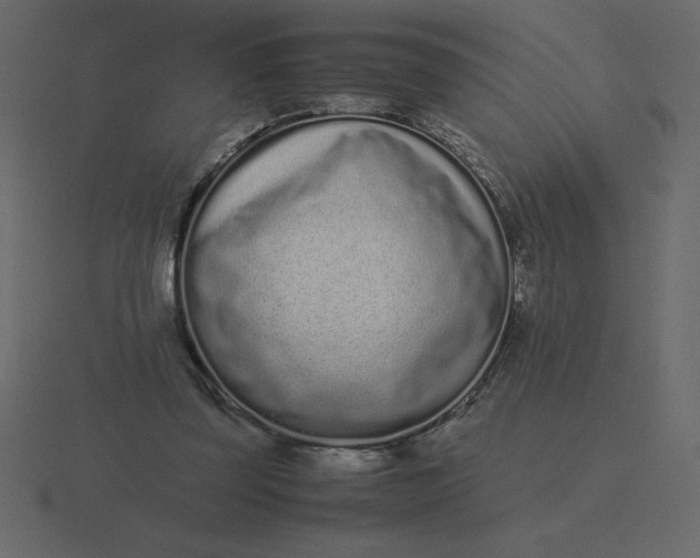 X0000116600347200912241718