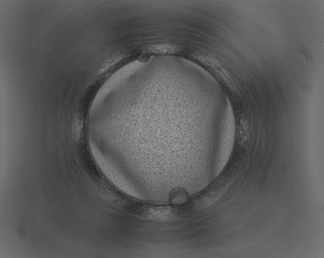 X0000116600355200912241718