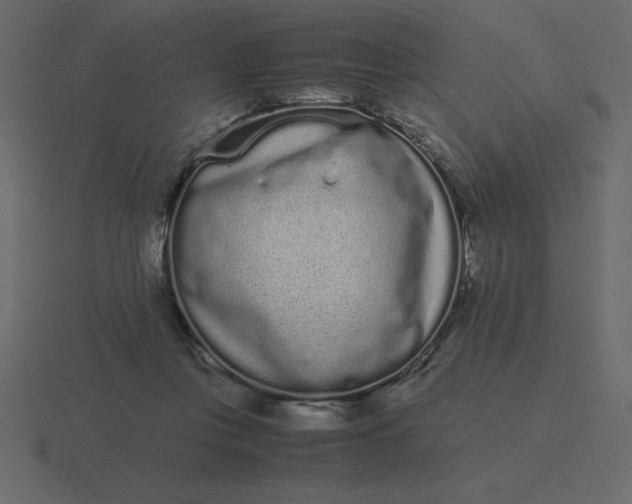 X0000116600359200912241718