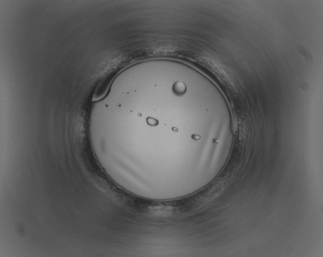 X0000116600362200912241718