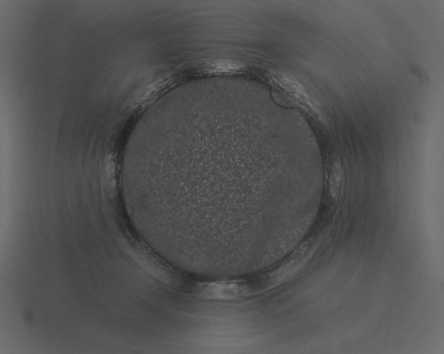 X0000116600366200912241718