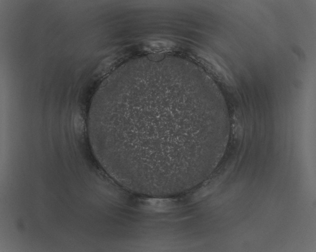 X0000116600371200912241718