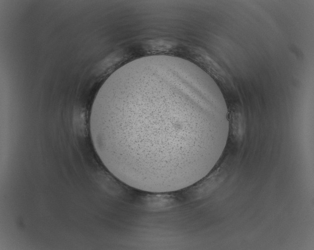 X0000116600378200912241718