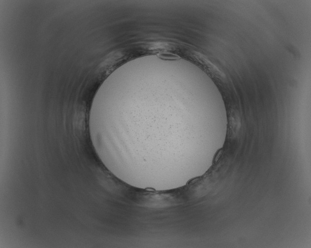 X0000116600379200912241718