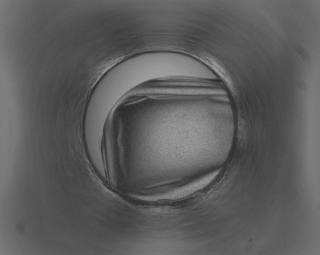 X0000116600385200912241718