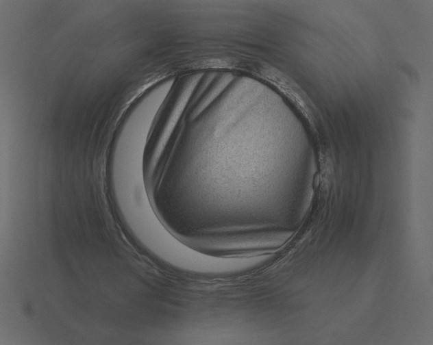X0000116600386200912241718