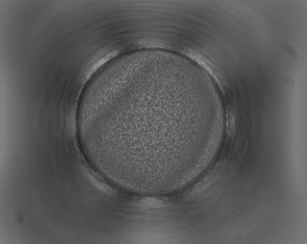 X0000116600390200912241718