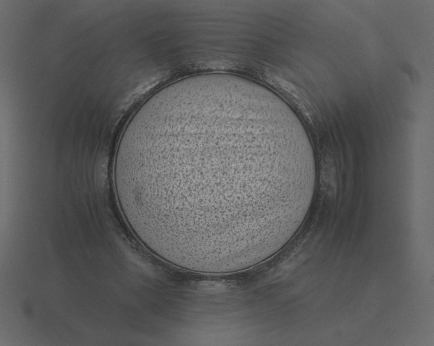 X0000116600394200912241718