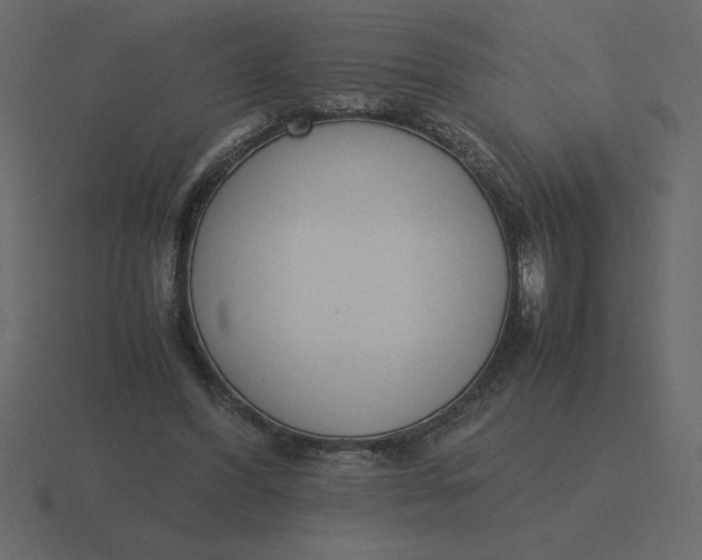 X0000116600396200912241718
