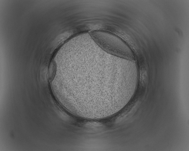 X0000116600397200912241718