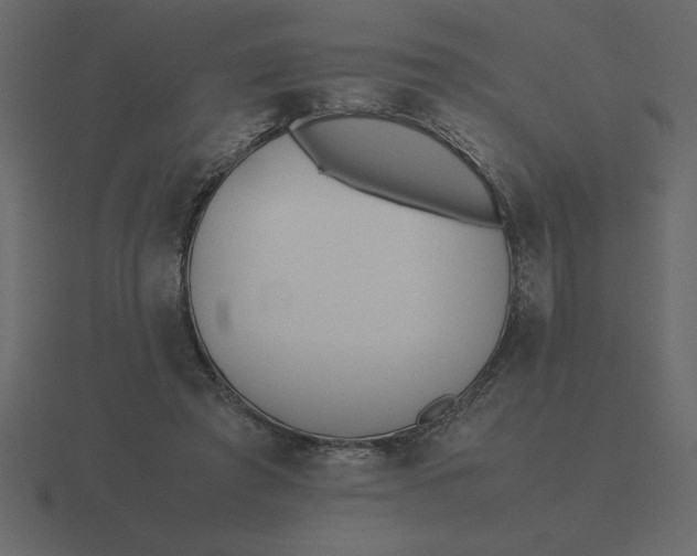 X0000116600401200912241718