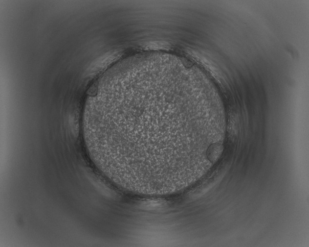 X0000116600402200912241718