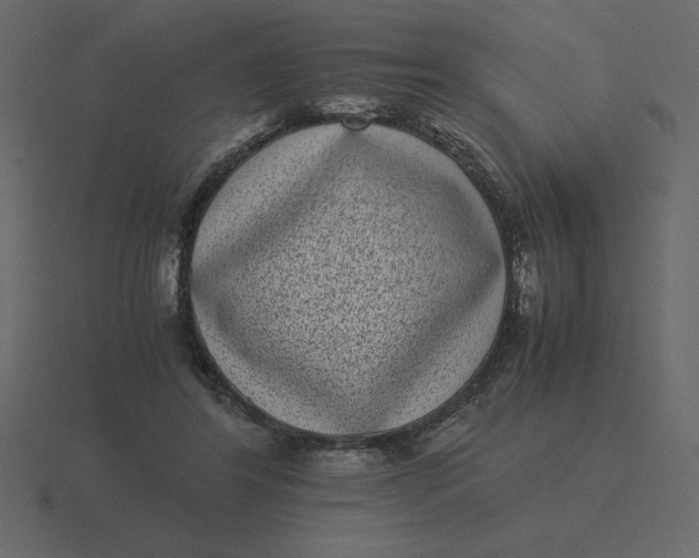 X0000116600404200912241718