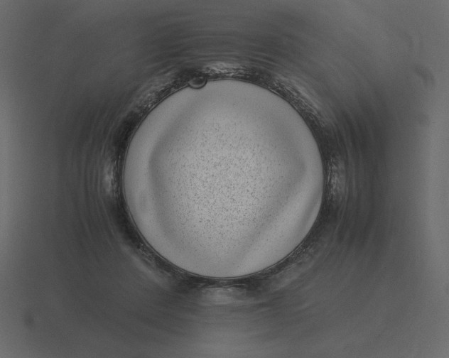 X0000116600408200912241718