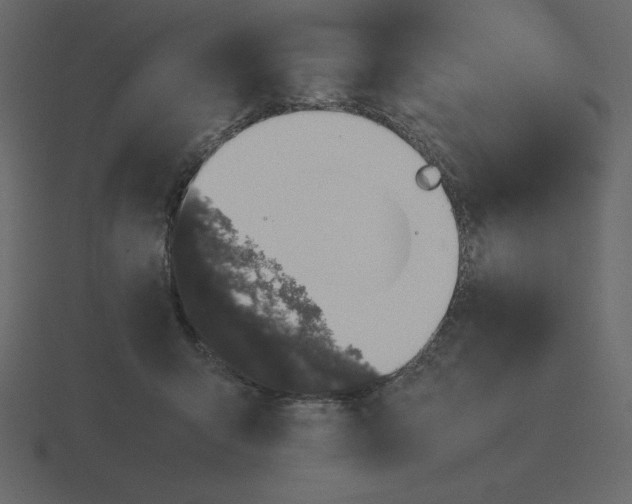 X0000116600415200912241718