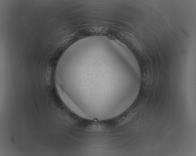 X0000116600416200912241718