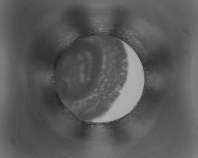X0000116600419200912241717